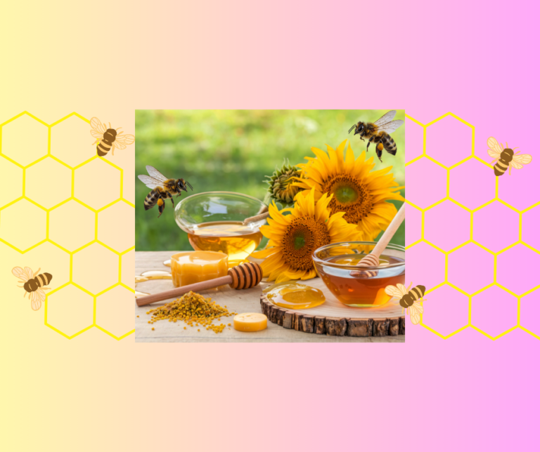 MASTERCLASS – L&rsquo;apithérapie