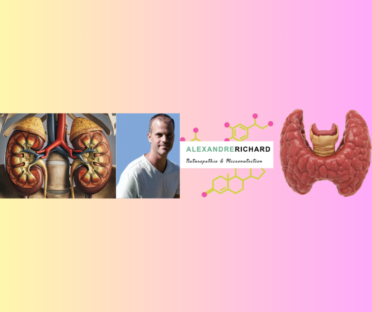 MASTERCLASS – Dysfonctions surrénales et thyroïde