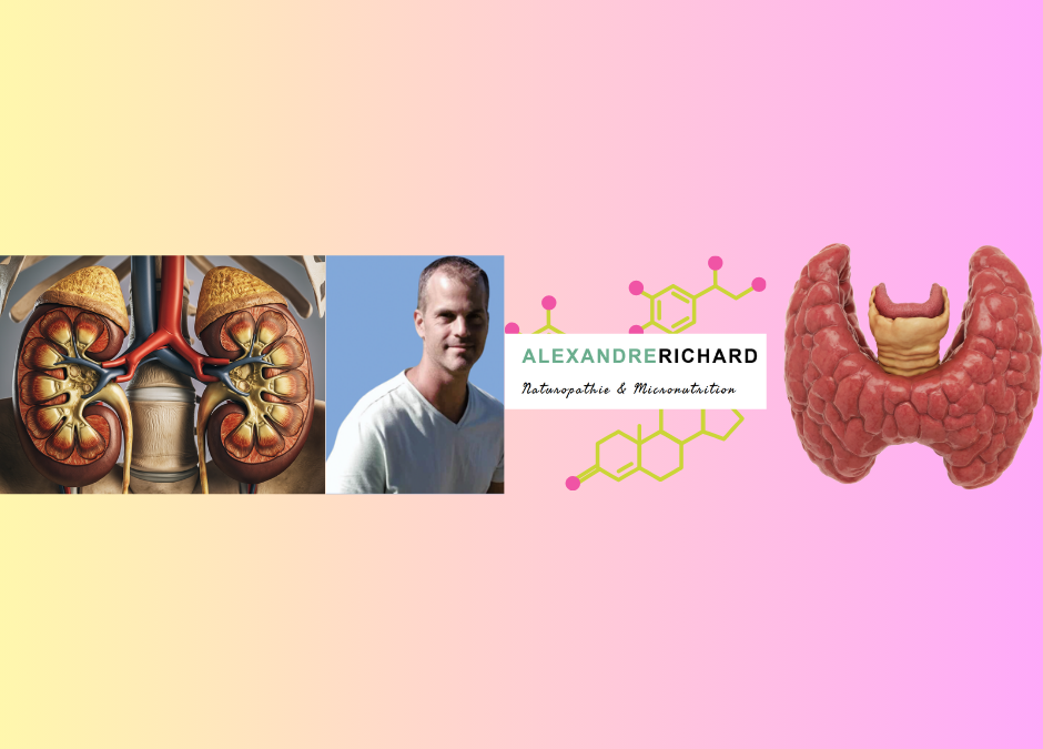MASTERCLASS – Dysfonctions surrénales et thyroïde